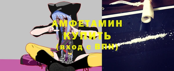 индика Инсар