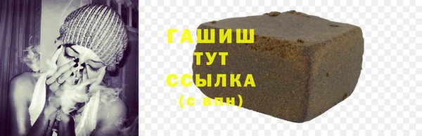 индика Инсар