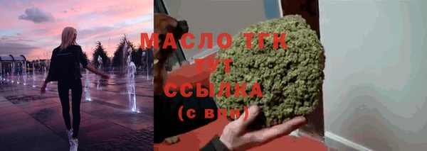 индика Инсар