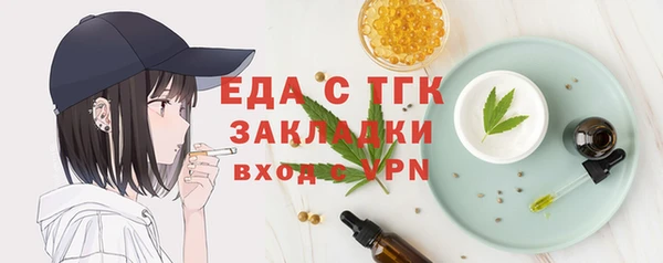 индика Инсар