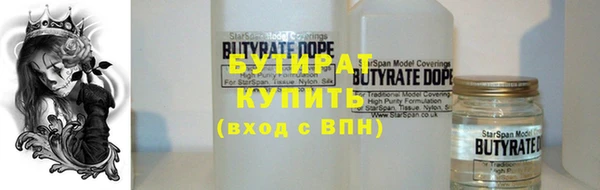 индика Инсар