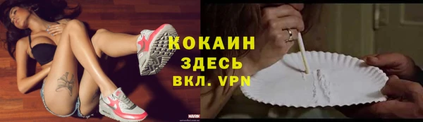 индика Инсар