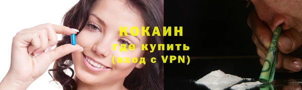 индика Инсар