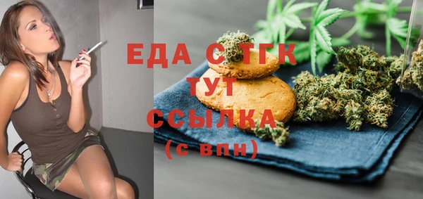 индика Инсар