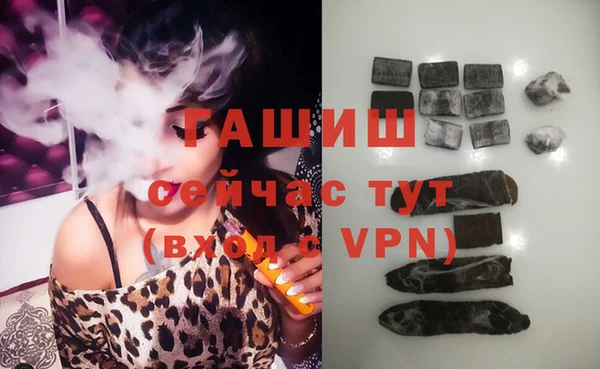 индика Инсар