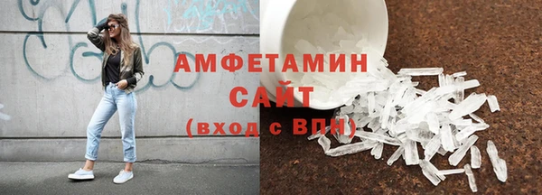 индика Инсар