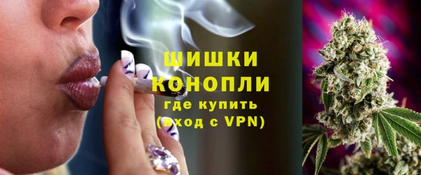 индика Инсар