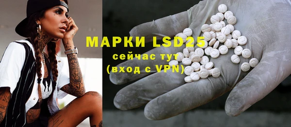 индика Инсар