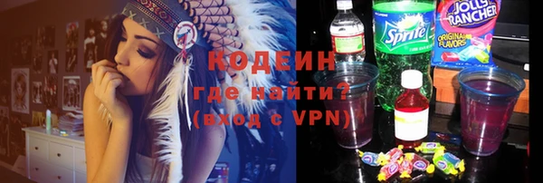 индика Инсар