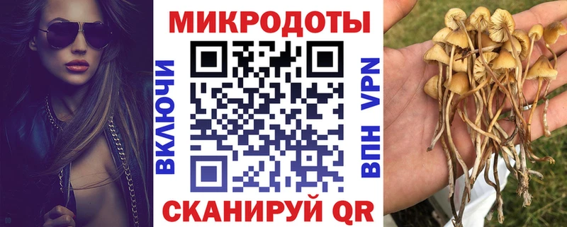Галлюциногенные грибы Psilocybe  Купить закладки  Новая Усмань 